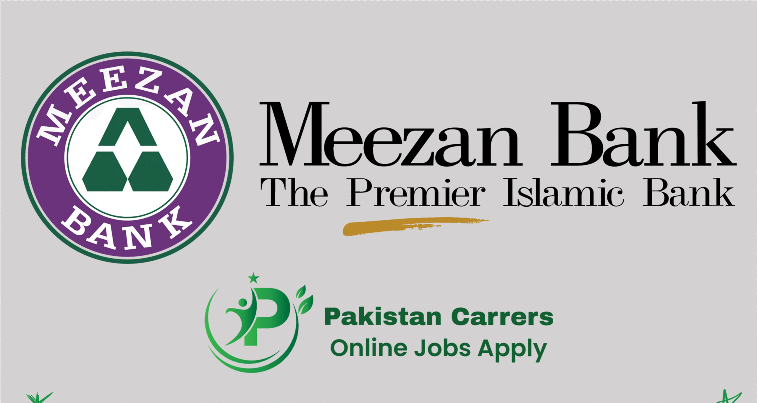 Roshnaas Program by Meezan Bank